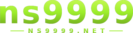 ns9999 logo